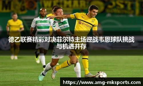 德乙联赛精彩对决菲尔特主场迎战韦恩球队挑战与机遇并存